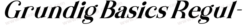 Grundig Basics Regul字体转换